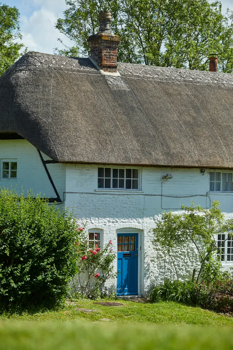 A thatched white cottage with a blue front door and roses in the garden, in the village of Ham