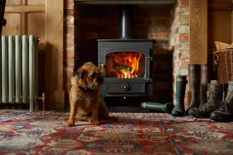A border terrier sitting on a red rug in front of the log burner, wellies lined up beside the hearth